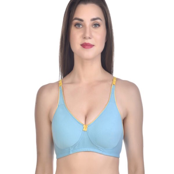 TheFaha Bra Factory Bra Manufacturers & Supplier Lingerie